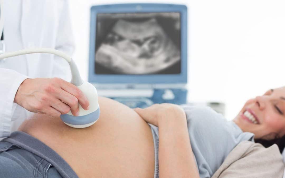 ultrasound shows twins