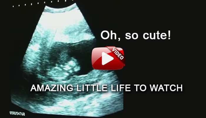 fetus playing in womb