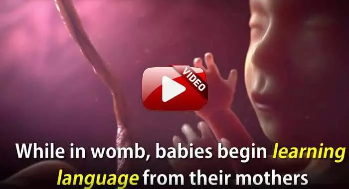 babies learn early in womb